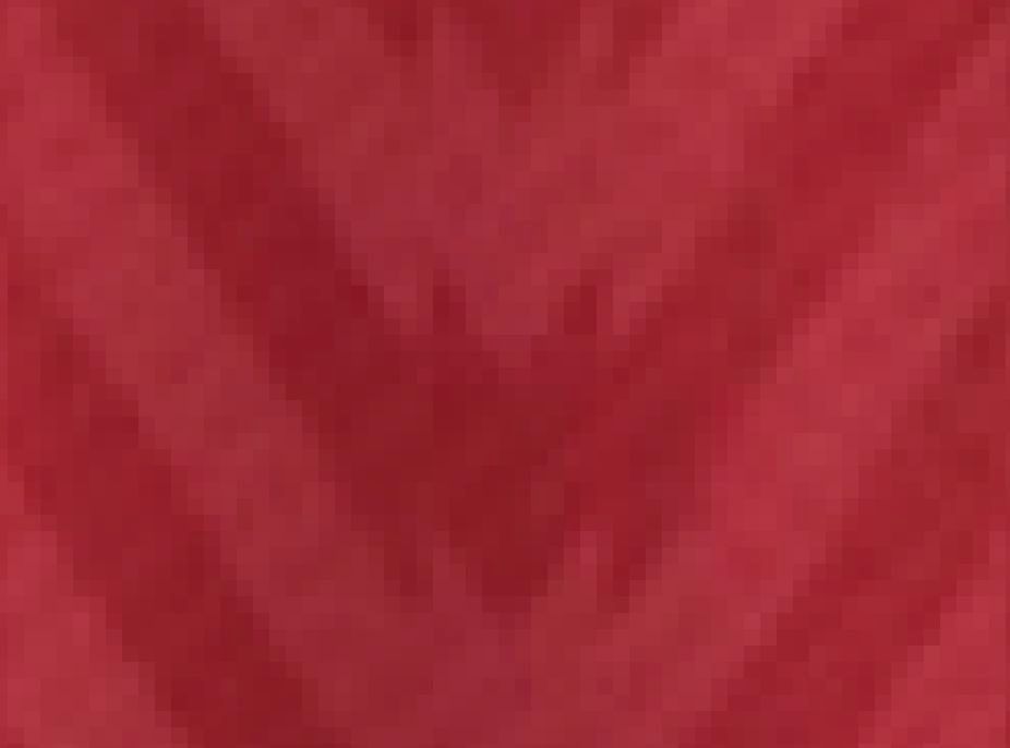  Detalles del murciélago