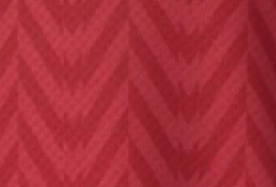  Detalles del murciélago