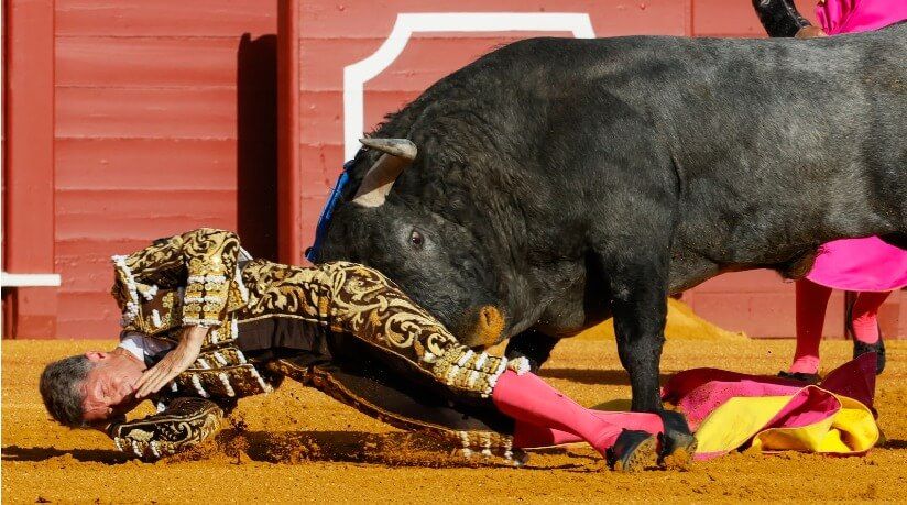 La cogida de Manuel Escribano en La Maestranza
