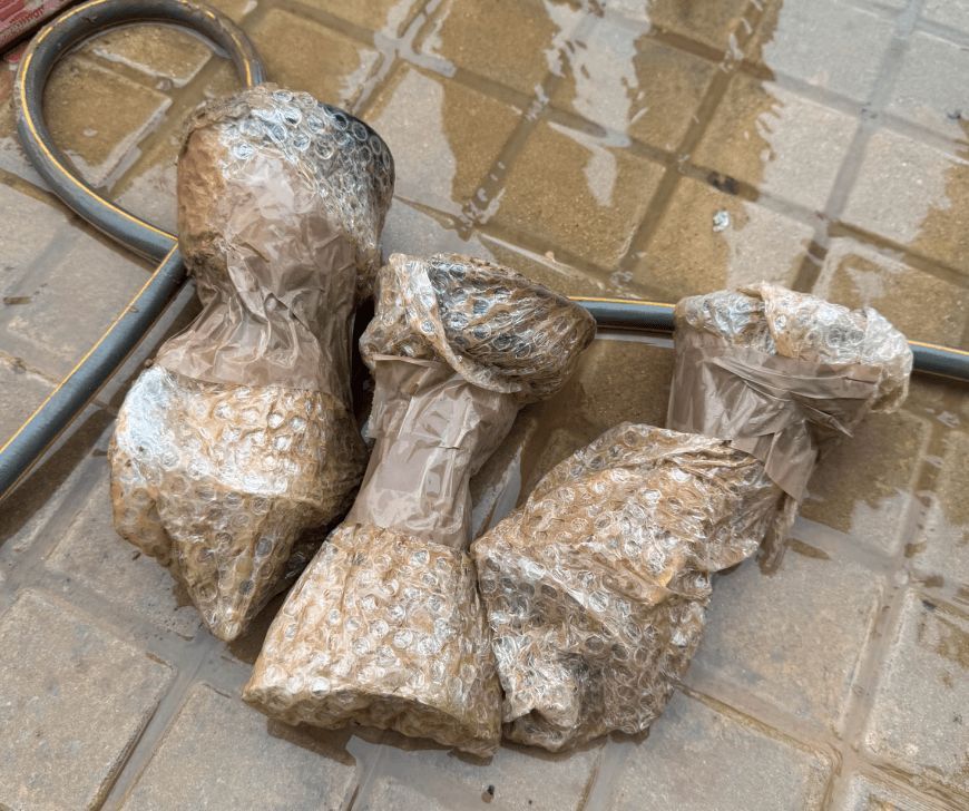  Los trofeos de Esther Romero