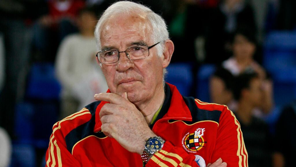 Luis Aragonés en la Eurocopa 2008