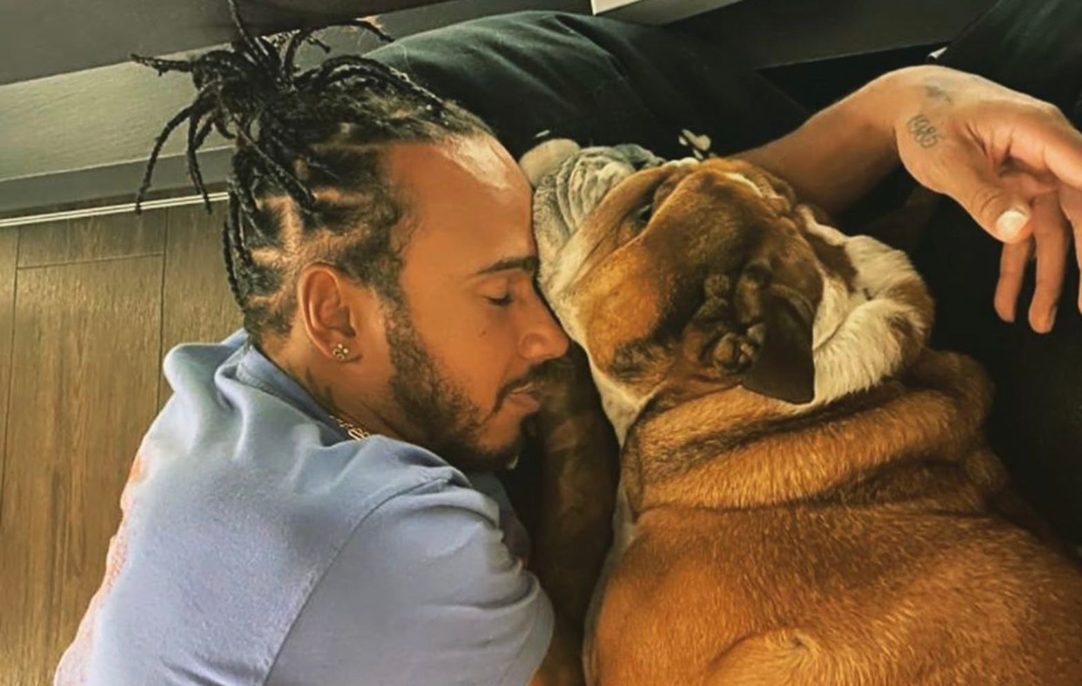  Lewis Hamilton, durmiendo junto a su perro Roscoe.