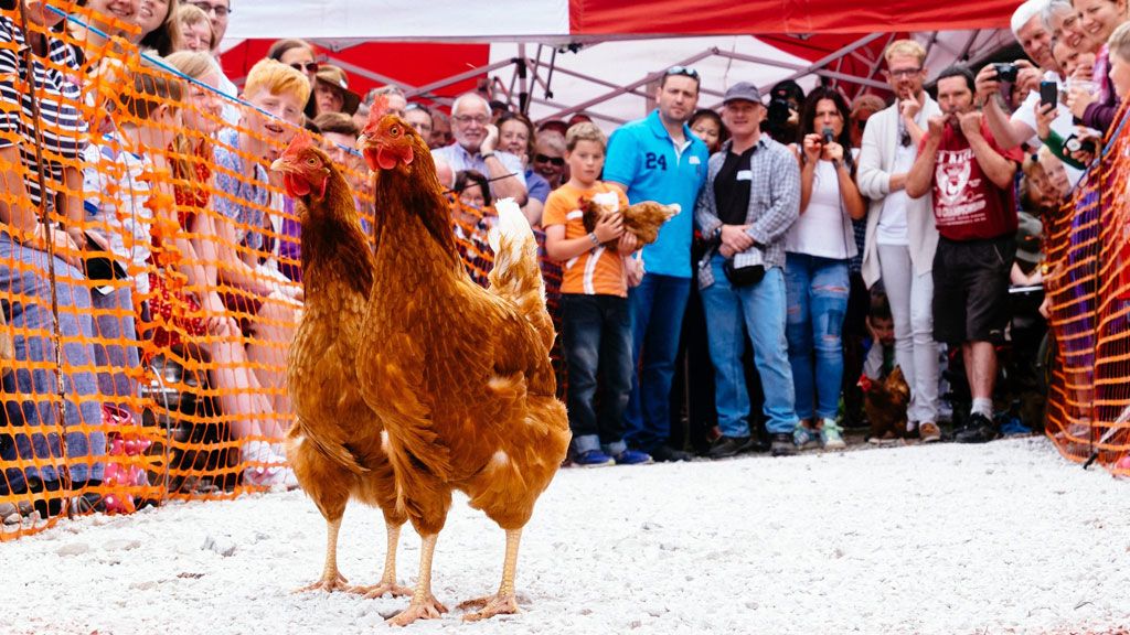 Millones de alitas de pollo se comerán en la Super Bowl 2024..