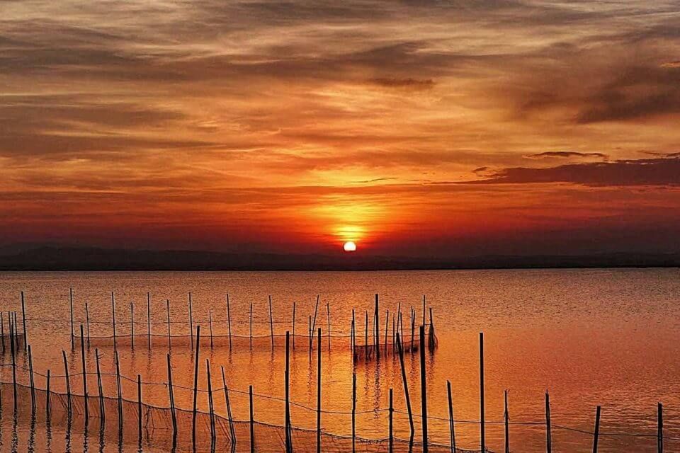 Atardecer naranja en la Albufera