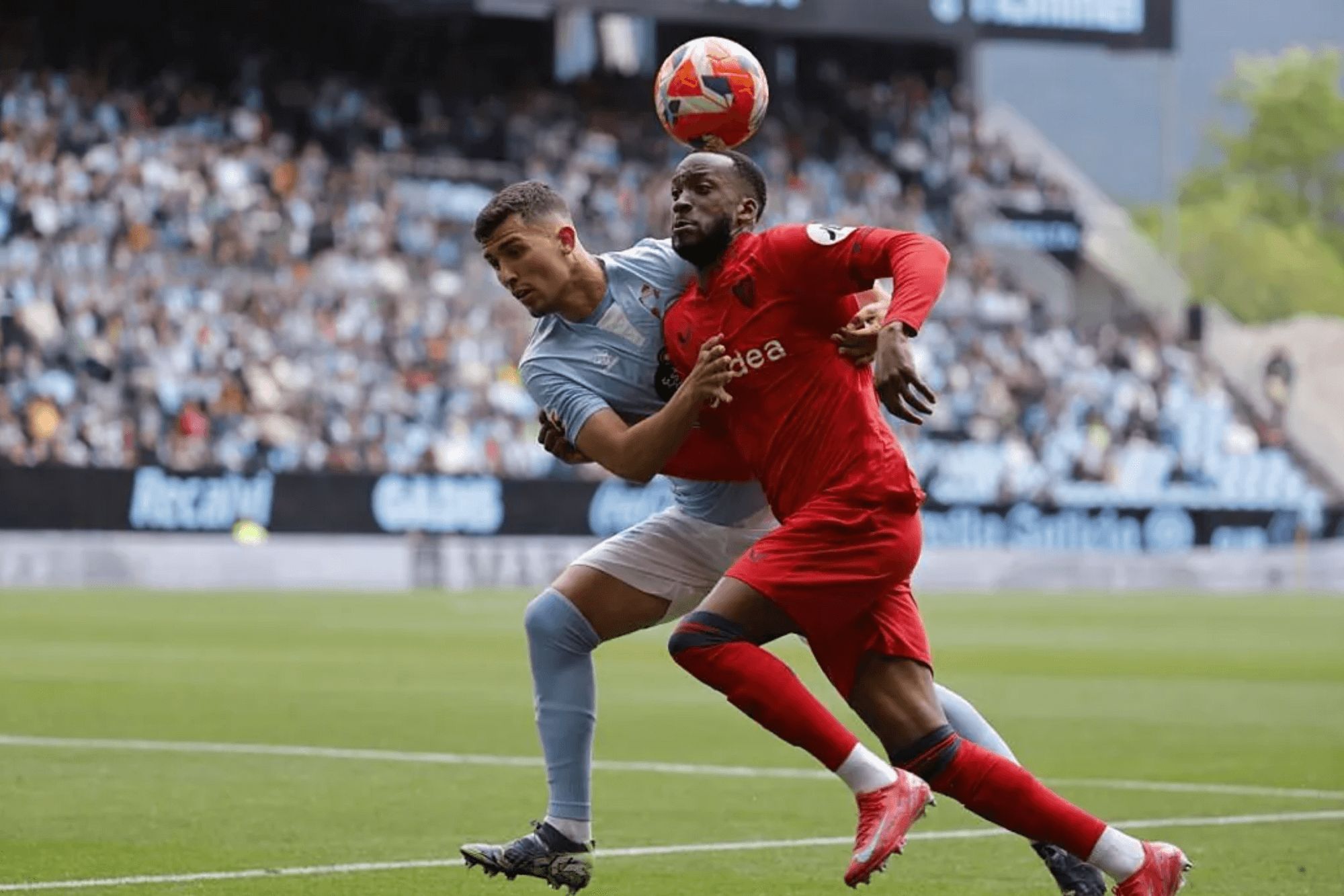 Carlos Domínguez ante Lukebakio.