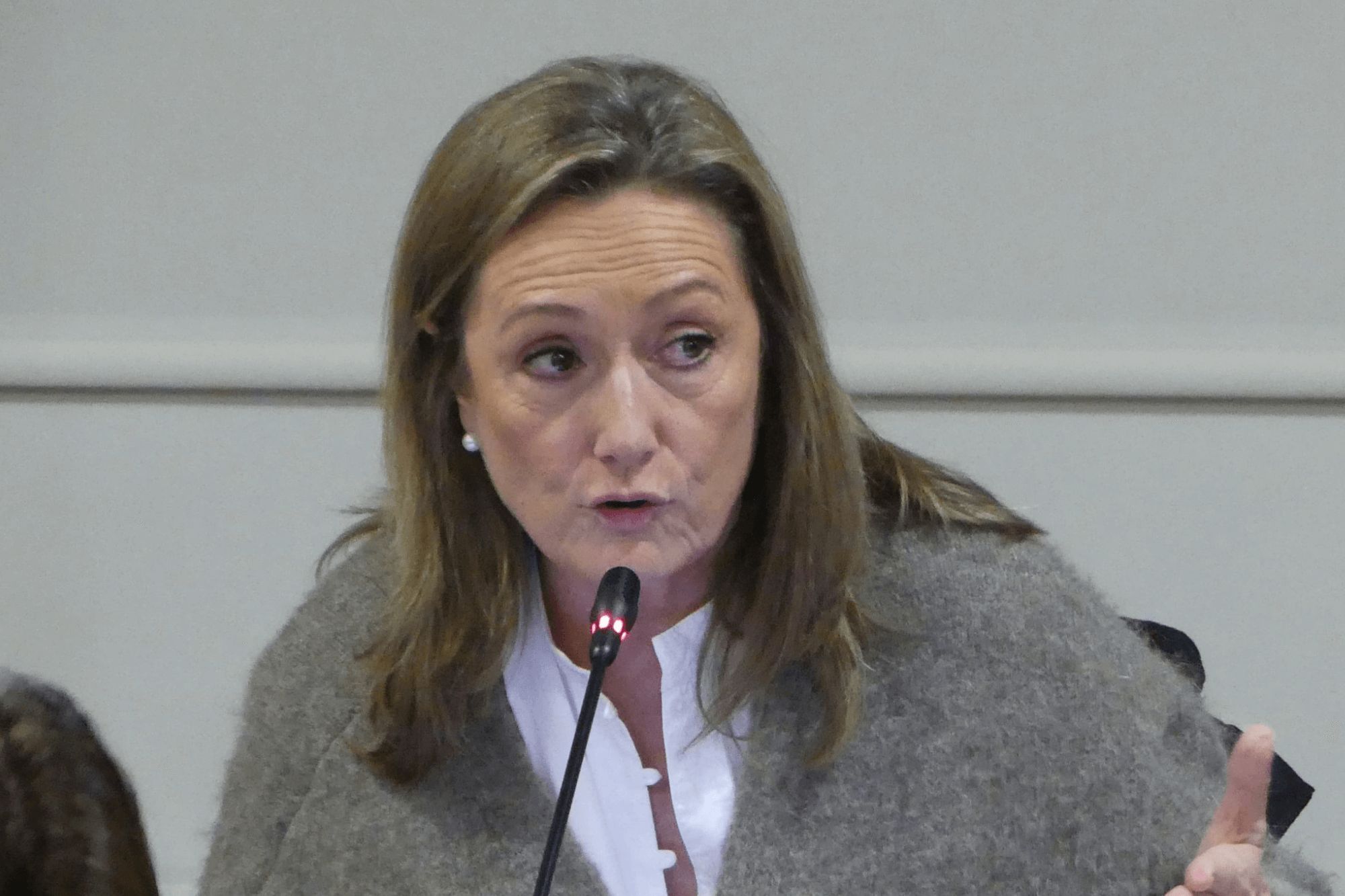 Luisa Sánchez, presidenta del Partido Popular de Vigo.