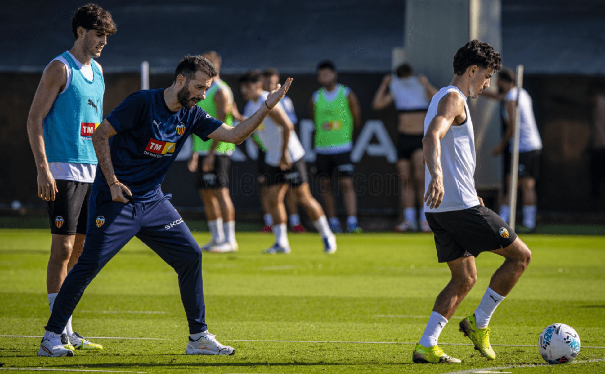 Javi Guerra y Almeida con Corberán