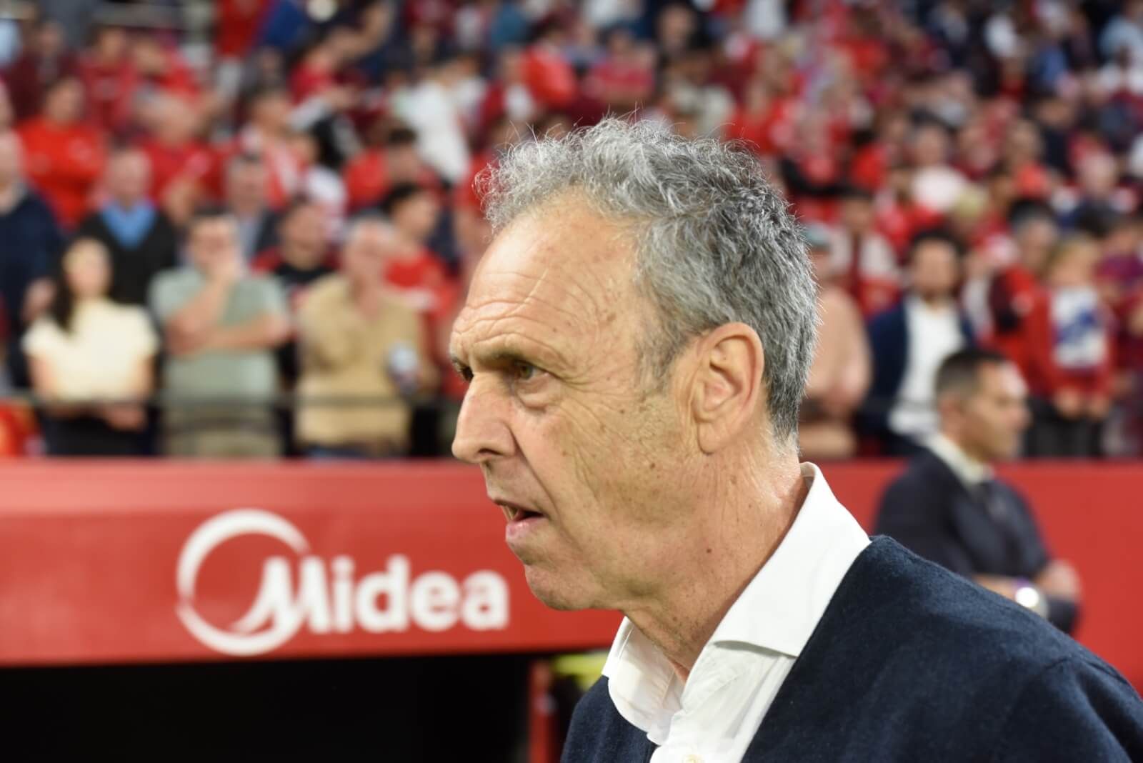 Joaquín Caparrós, en el Sevilla-Las Palmas.