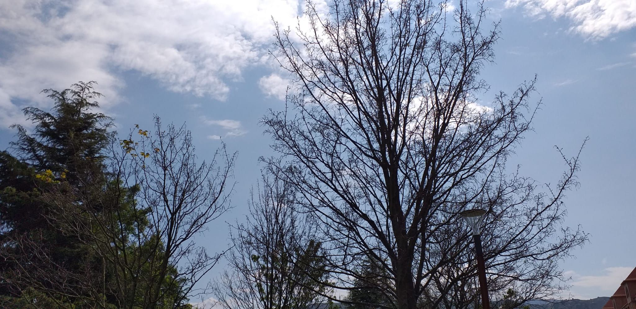  Euskadi aguanta como puede las terribles cifras del coronavirus COVID-19.