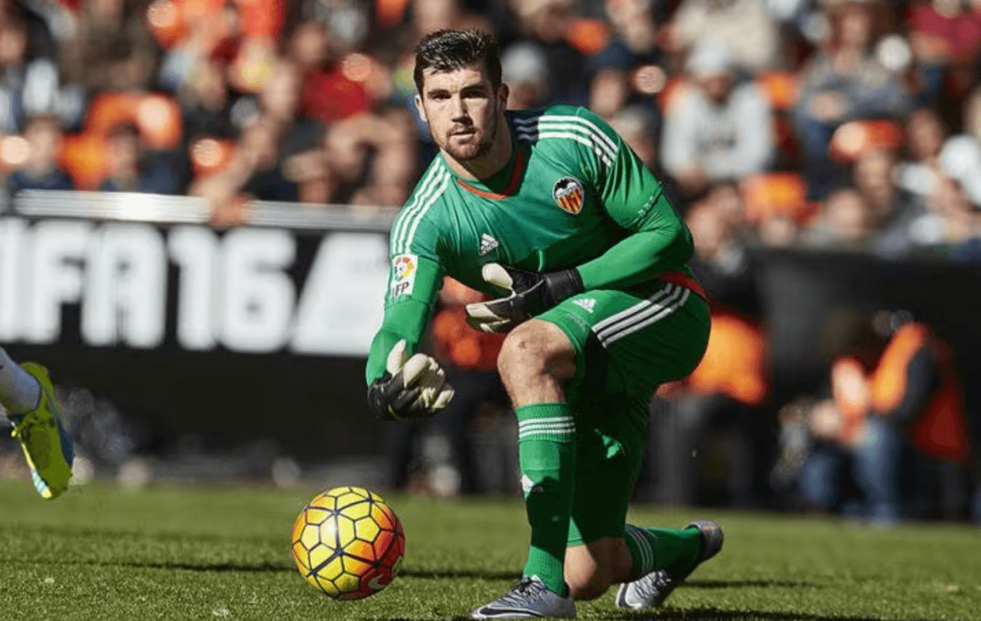  Mathew Ryan