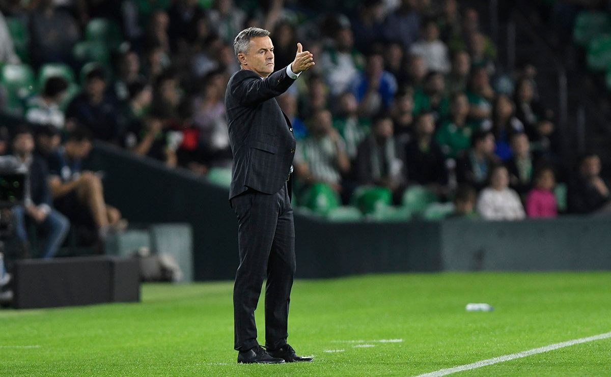 Fran Escribá, durante el Real Betis-Celta de la presente temporada.