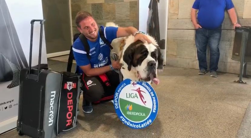  Oso, el perro de Manu Sánchez, protagonista en el recibimiento al Dépor Abanca.