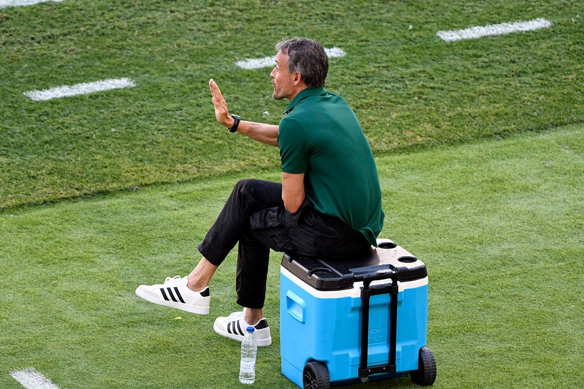 Luis Enrique, ante Eslovaquia.