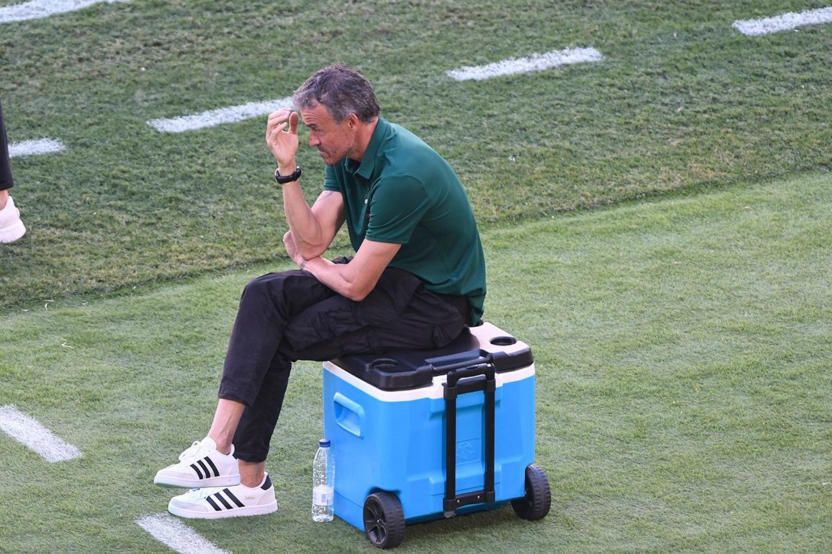 Luis Enrique, ante Eslovaquia.