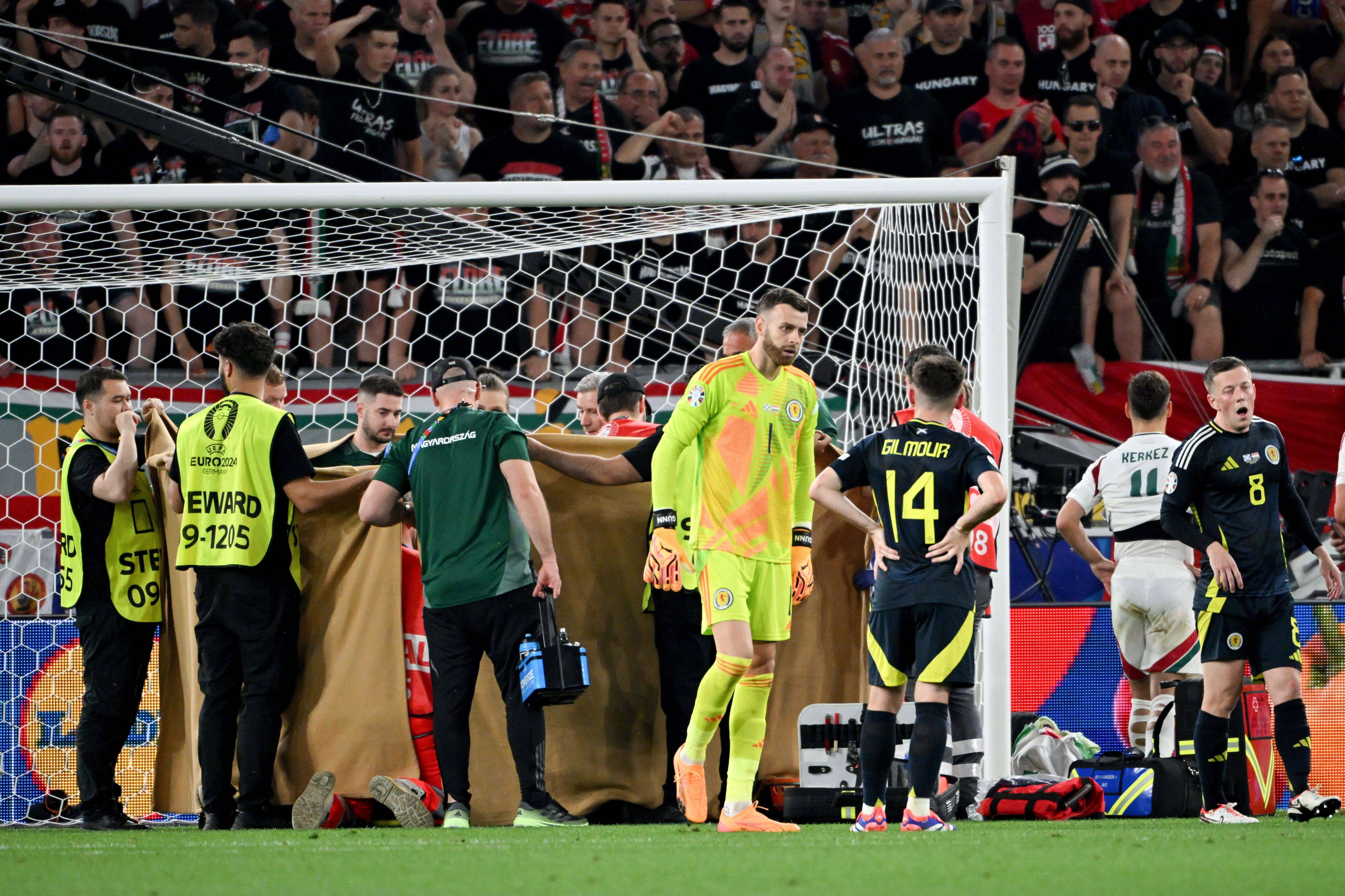 El incidente de Varga