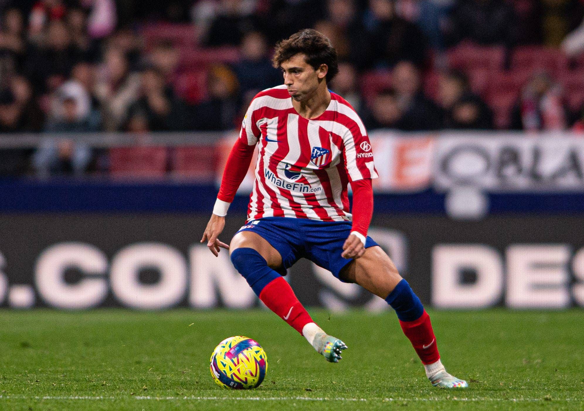 joao_felix_en_un_partido_del_atletico_de_madrid_foto_cordon_press.jpg