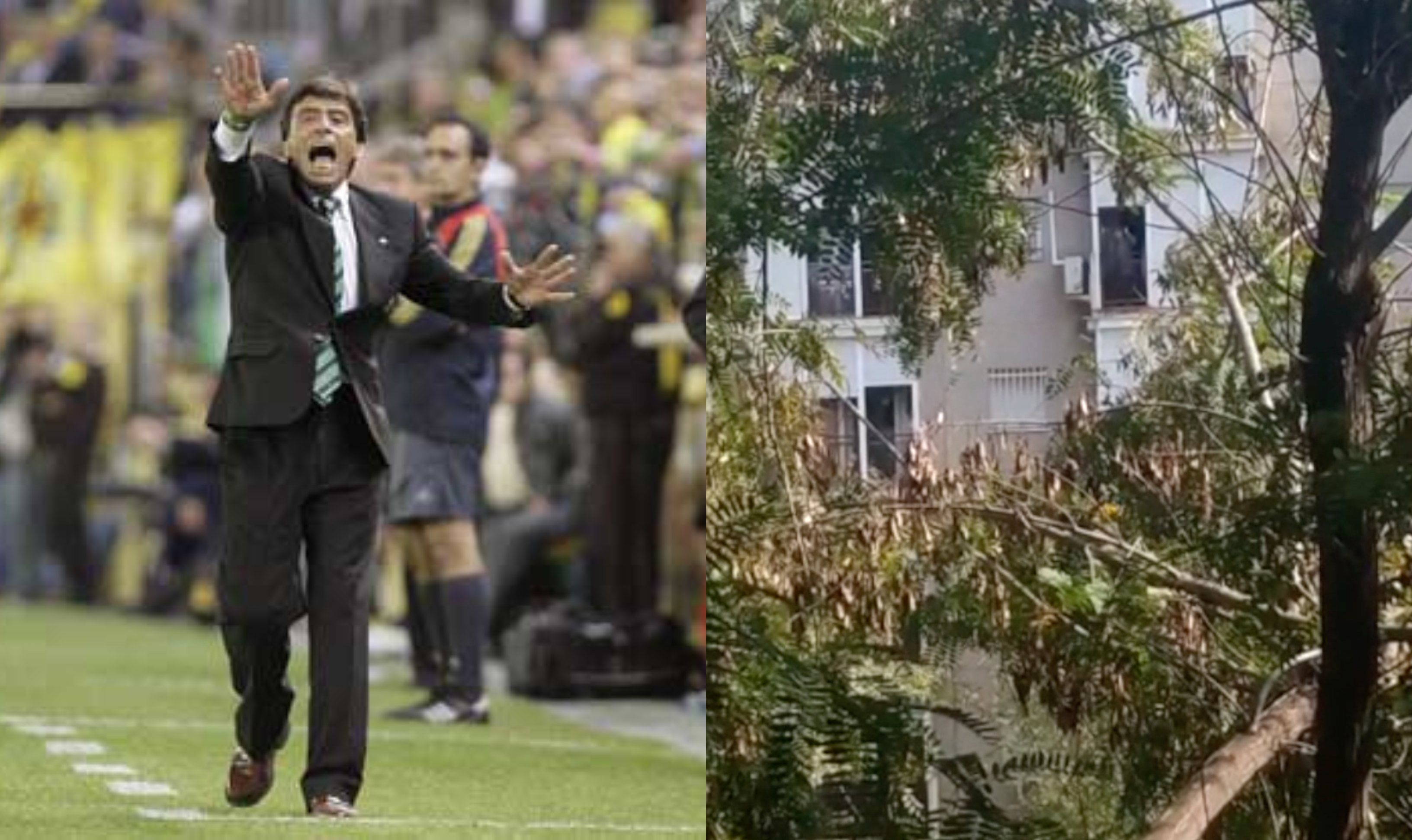  El 'Resistiré': del Betis de Paco Chaparro a himno contra el coronavirus.