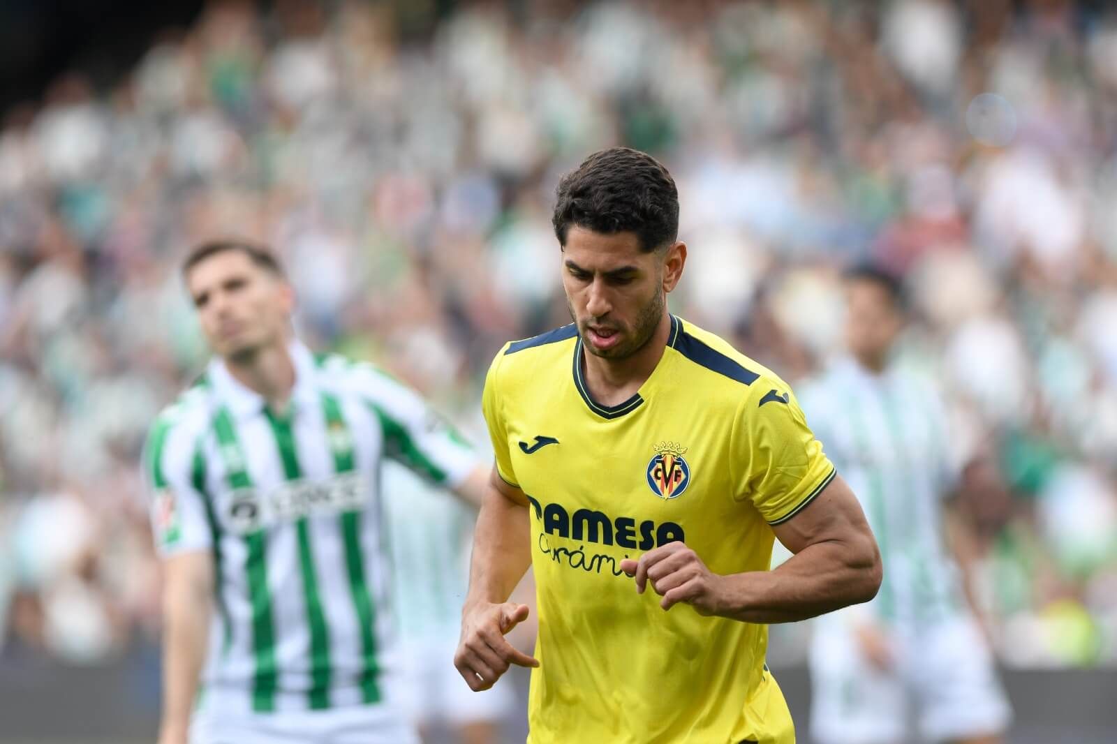 Celebración del tanto de Ayoze ante el Betis.