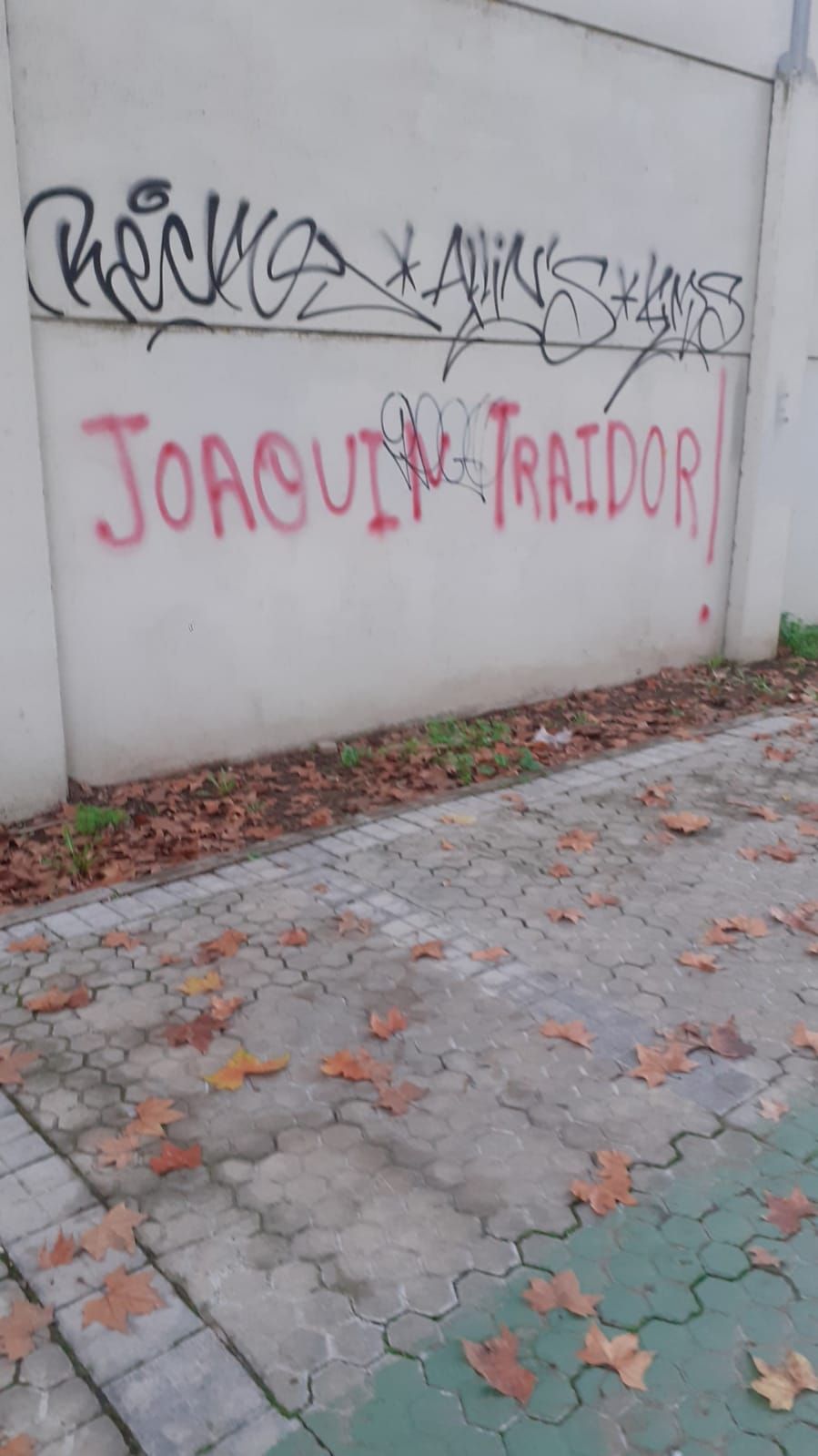  Pintadas que aparecieron este domingo (Foto. Kiko Hurtado).