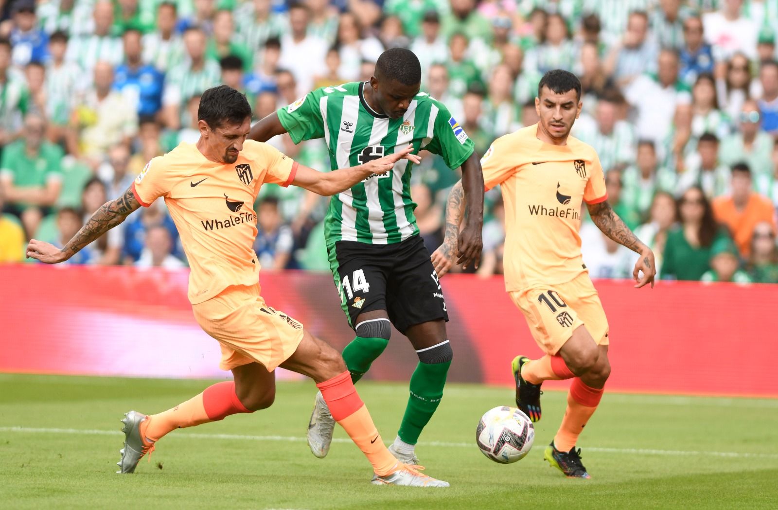 William Carvalho, ante el Atlético