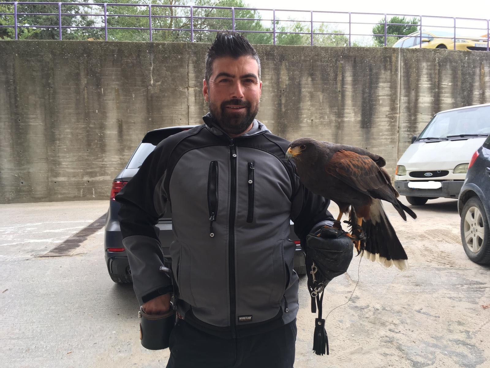 Gretel, el Águila de Harris, con Poli, su propietario.