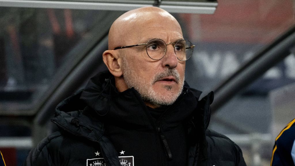 Luis de la Fuente en el partido frente a Noruega. (Fuente: Cordon Press)