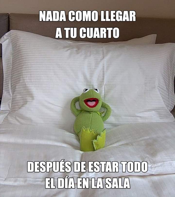  Los mejores memes del miércoles