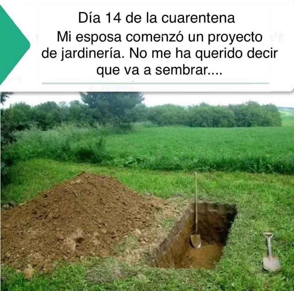  Los mejores memes del miércoles