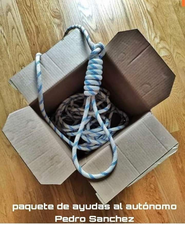  Los mejores memes del miércoles