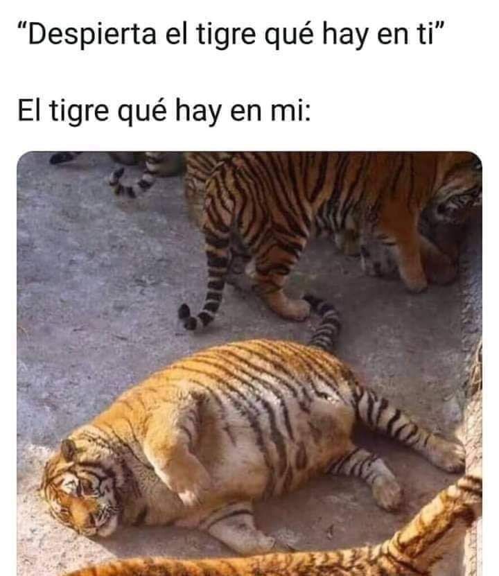  Mejores Memes del viernes.