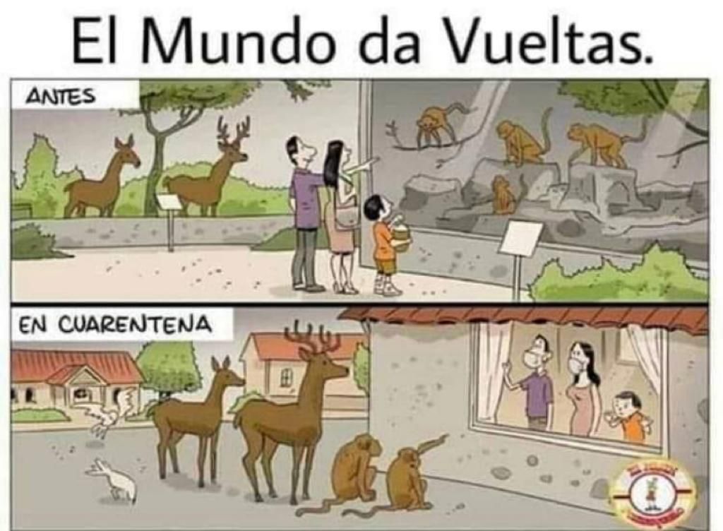  Memes del 2 de abril