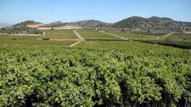 Porxinos ha sido declarada zona forestal agrícola no urbanizable.