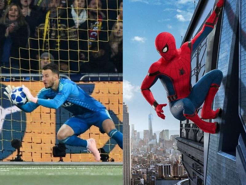  Neto, la araña bajo palos.