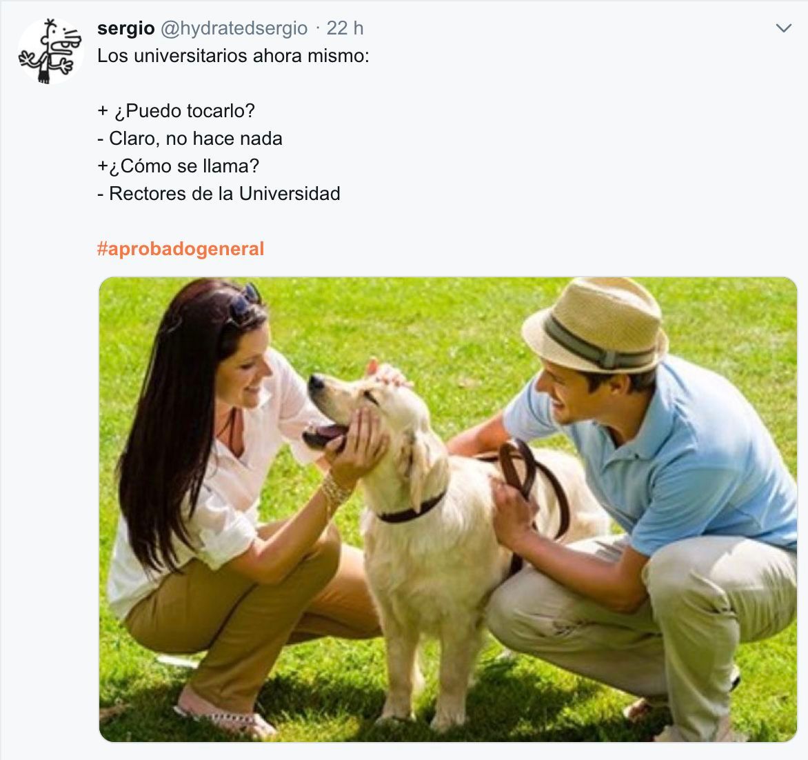  Memes aprobado general