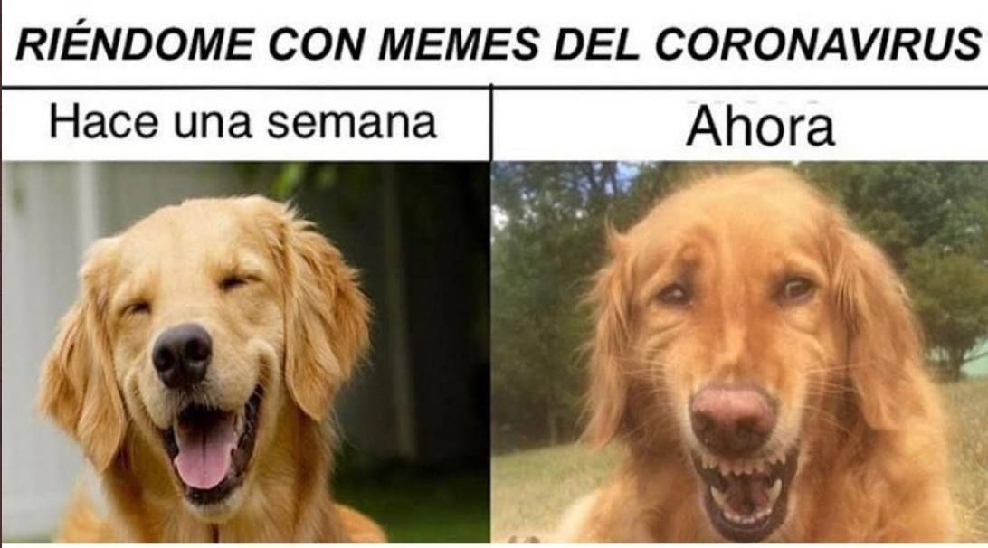 Memes jueves