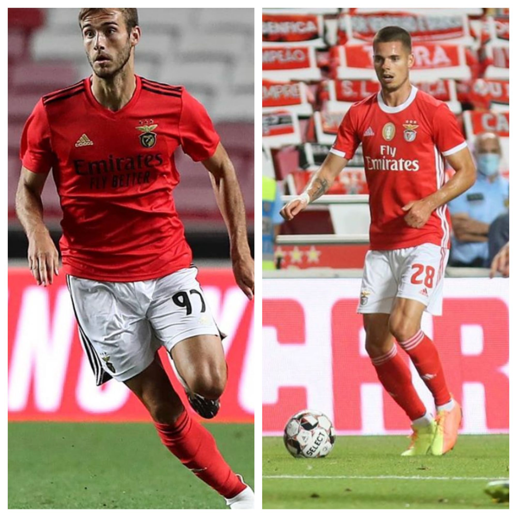  benfica.jpg
