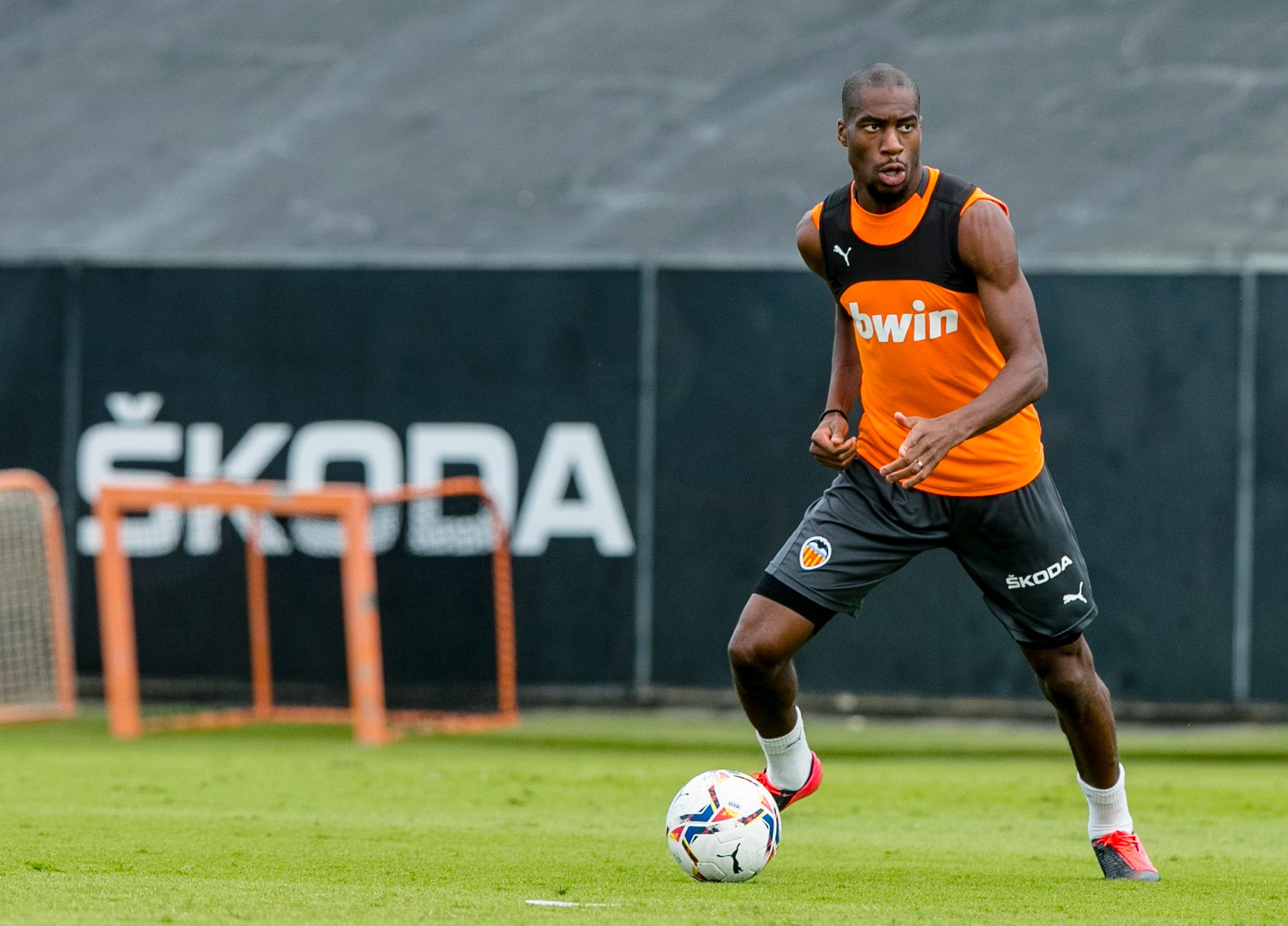 Kondogbia