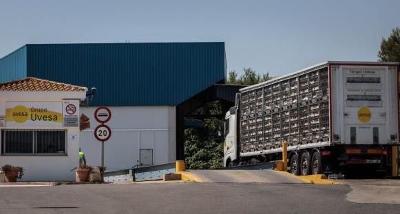 Rafelbunyol, empresa dónde se produjo el rebrote