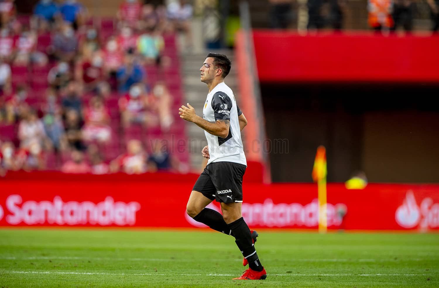  Maxi Gómez sangrando en el Granada-Valencia CF