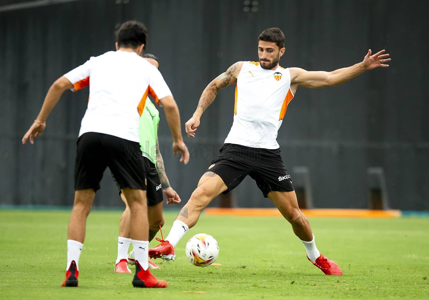 Piccini en el último entrenamiento ya trabajó con todos