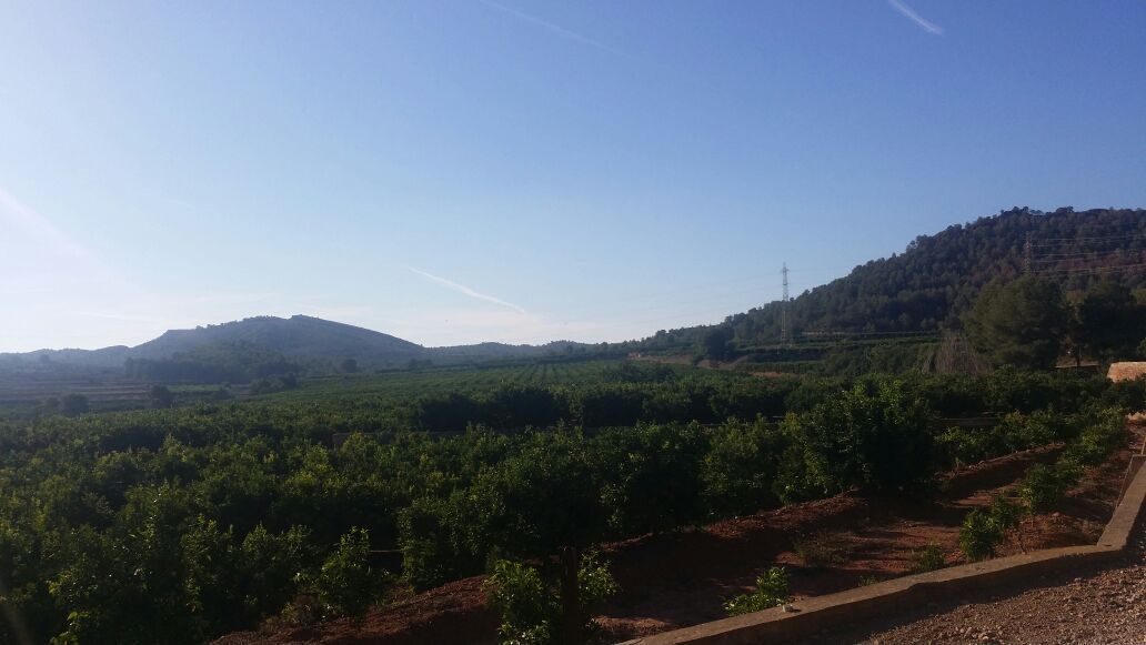 Riba-Roja y Porxinos