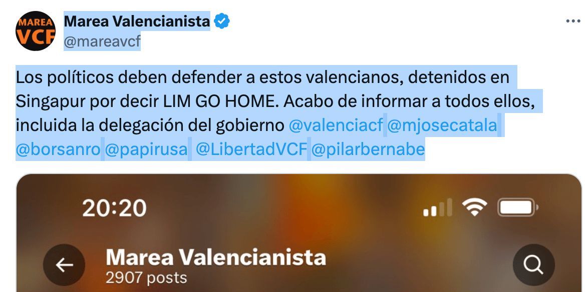  Marea Valencianista pide la libertad para los dos retenidos por pegar pegatinas contra Peter Lim