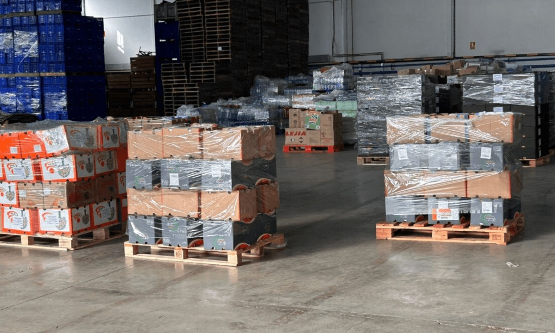  Trabajo de la Asociación de Futbolistas del Valencia CF