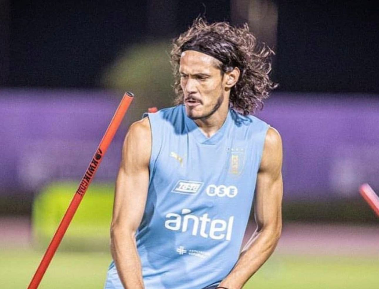 Cavani