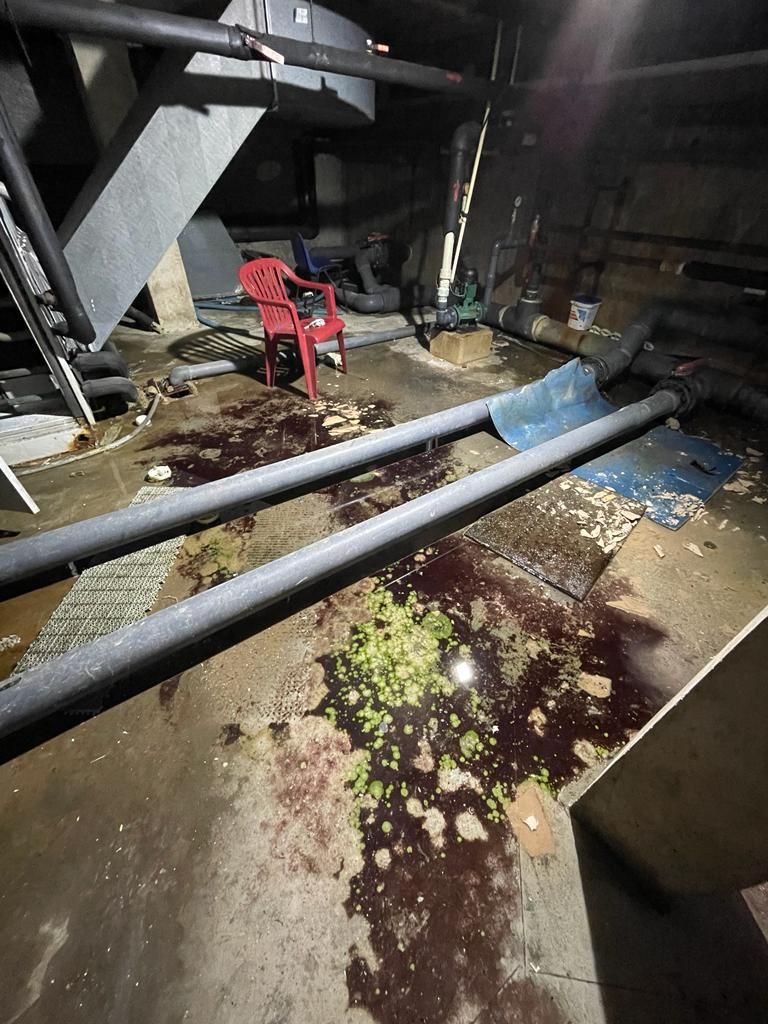  El mal estado de una piscina municipal de Valencia