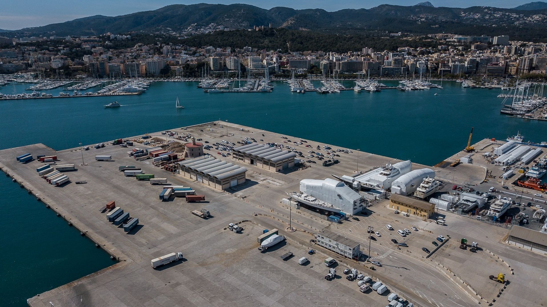 Encuentran muertos a 27 perros de caza en una furgoneta a bordo de un barco en Palma