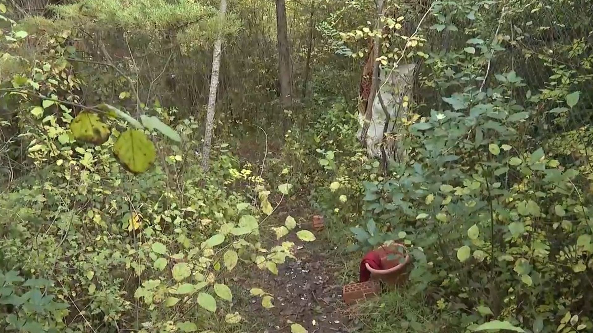 Acusan a cuatro hombres de una violación grupal en Pamplona