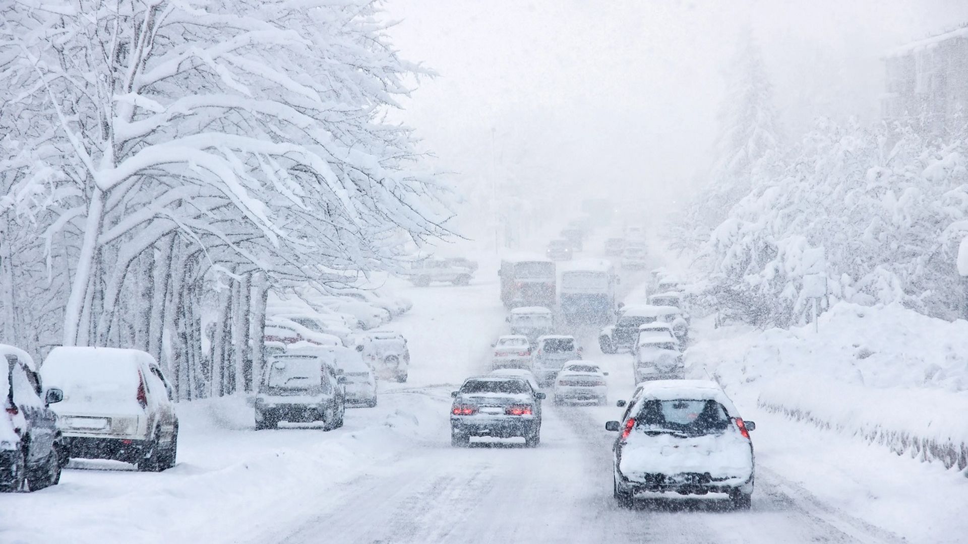 Conducción con nieve Conducción con nieve