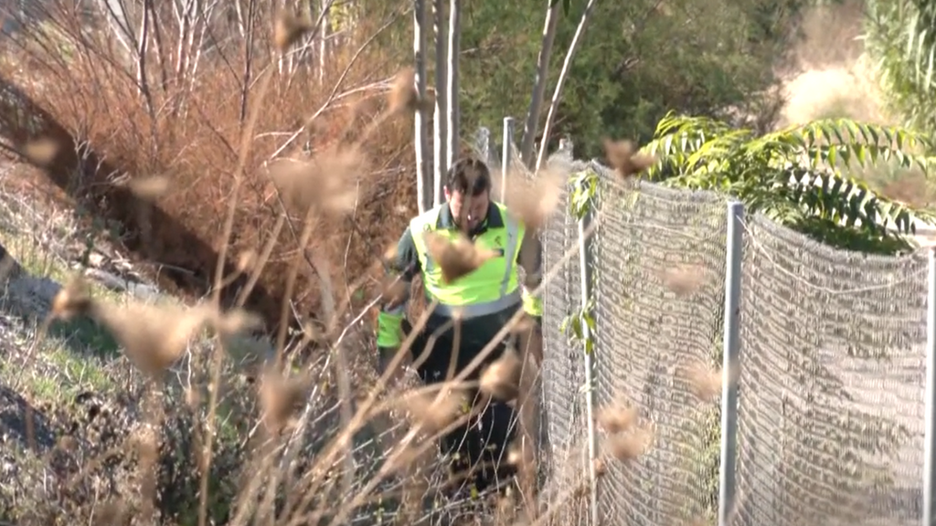 El niño de 11 años que murió atropellado en Huétor Tájar iba caminando solo de madrugada y cerca de la autovía