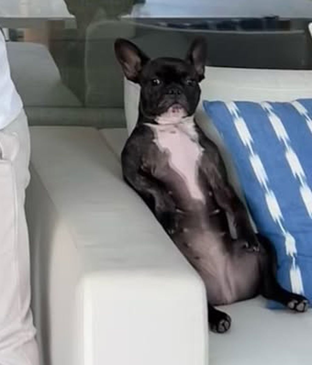 Familia de Malena Costa